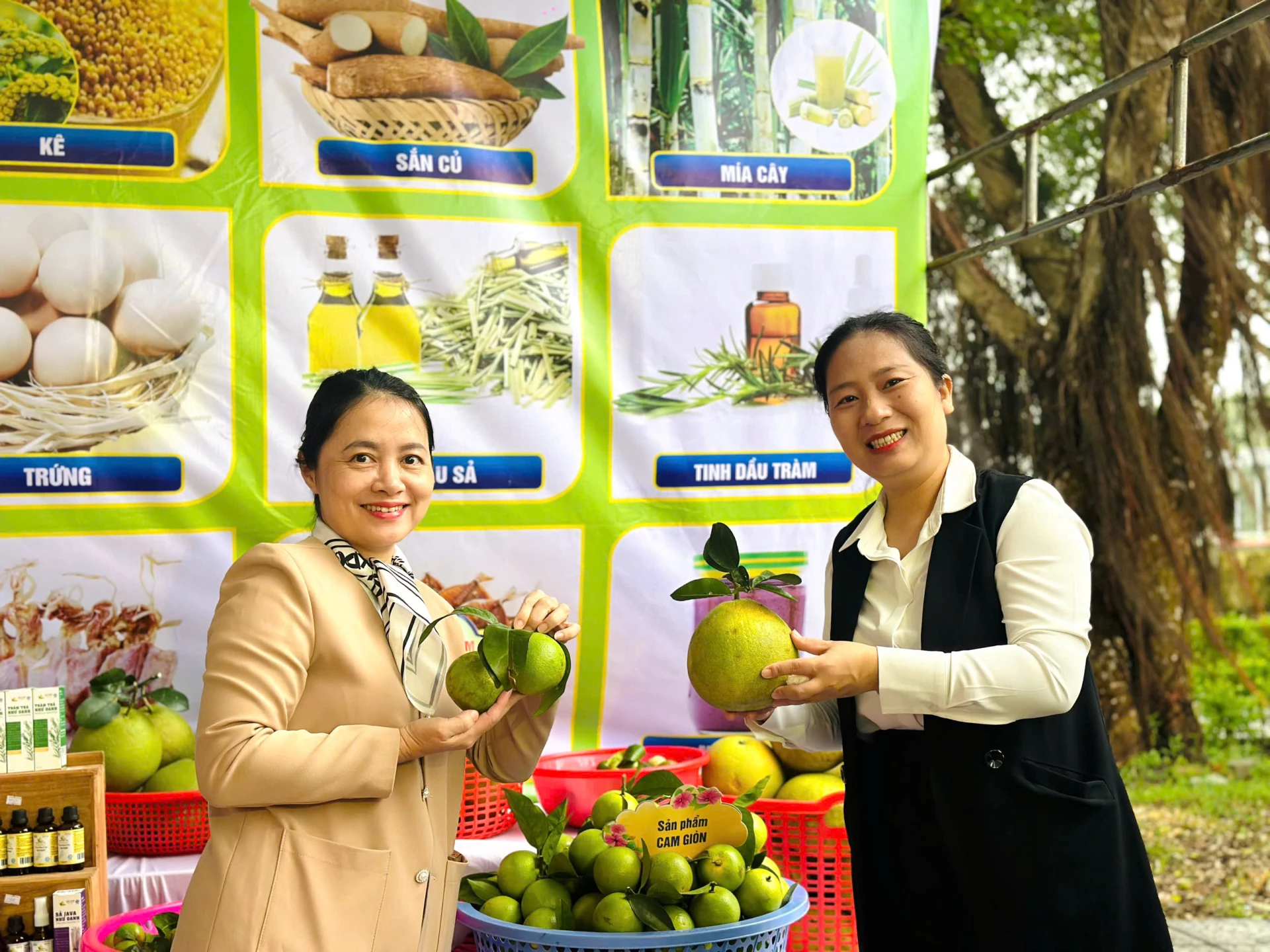 Phát huy vai trò chủ thể trong phát triển kinh tế nông nghiệp