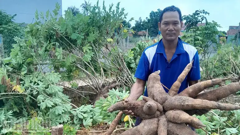 Phát triển nông nghiệp bền vững nhờ ứng dụng khoa học kỹ thuật tại Phú Túc