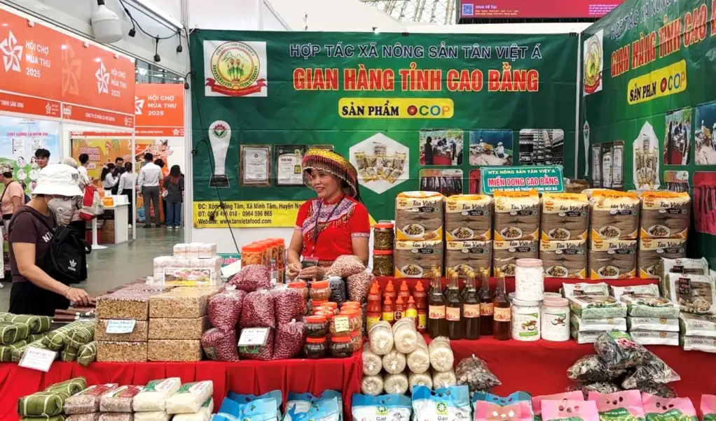 Phát triển sản phẩm OCOP gắn với xây dựng thương hiệu địa phương