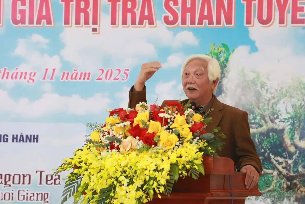 Phát triển trà shan tuyết Suối Giàng thành sản phẩm chủ lực địa phương