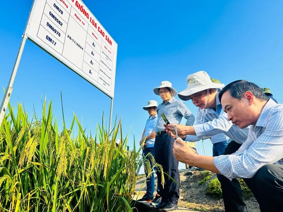 Phát triển trồng trọt bền vững: Từ nhận thức đến hành động xanh