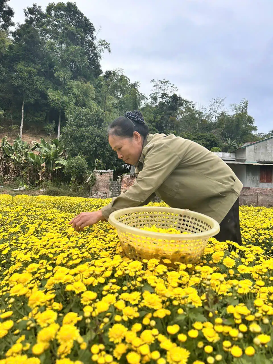 Phong Quang (Thái Nguyên): Tăng cơ hội tiếp cận thông tin – mở lối thoát nghèo cho đồng bào dân tộc thiểu số