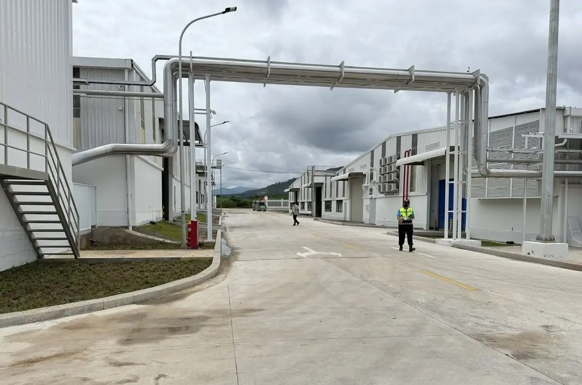 Quảng Ngãi đưa cây dược liệu thành sản phẩm chủ lực