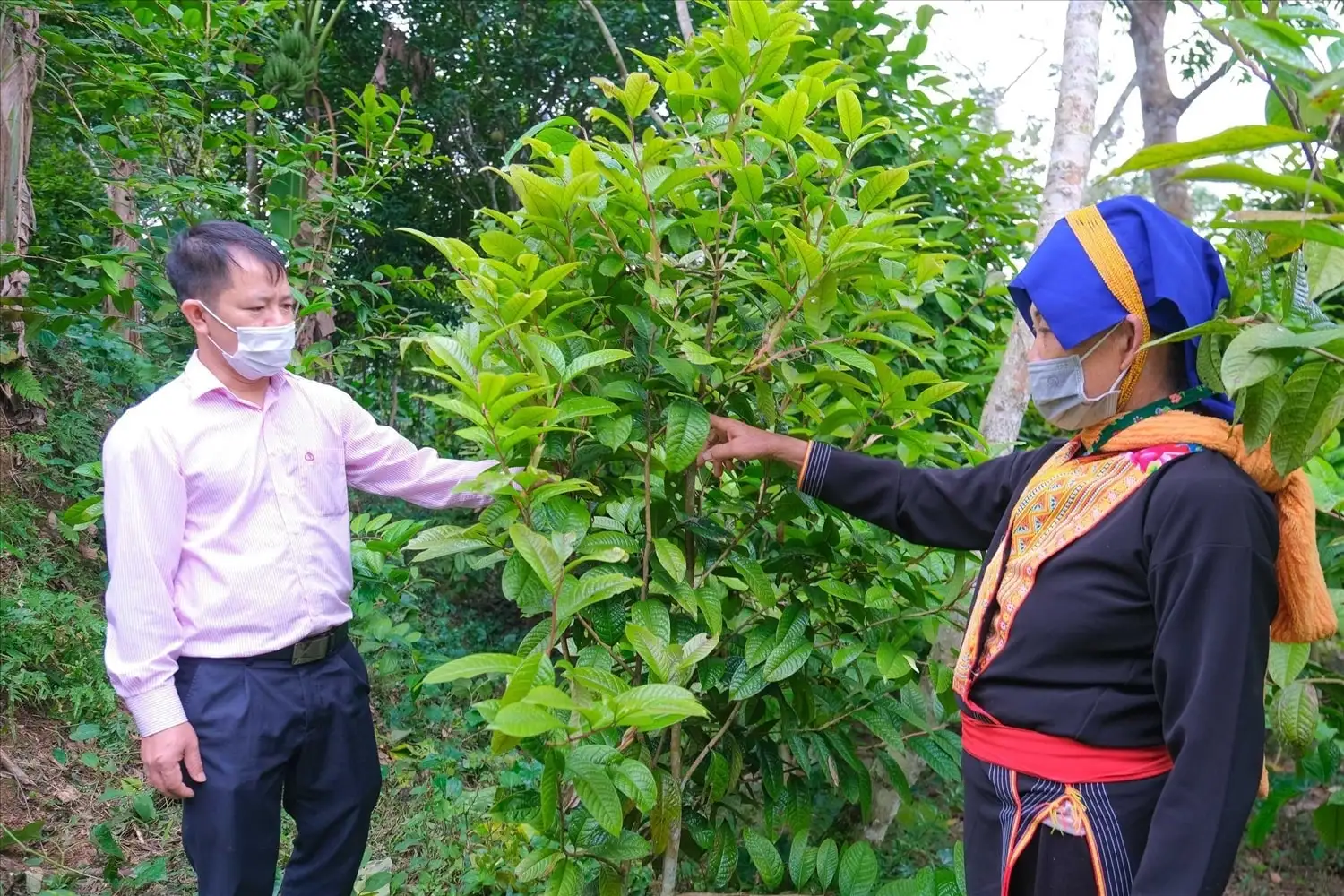 Quảng Ninh – hình mẫu về giảm nghèo bao trùm và bền vững