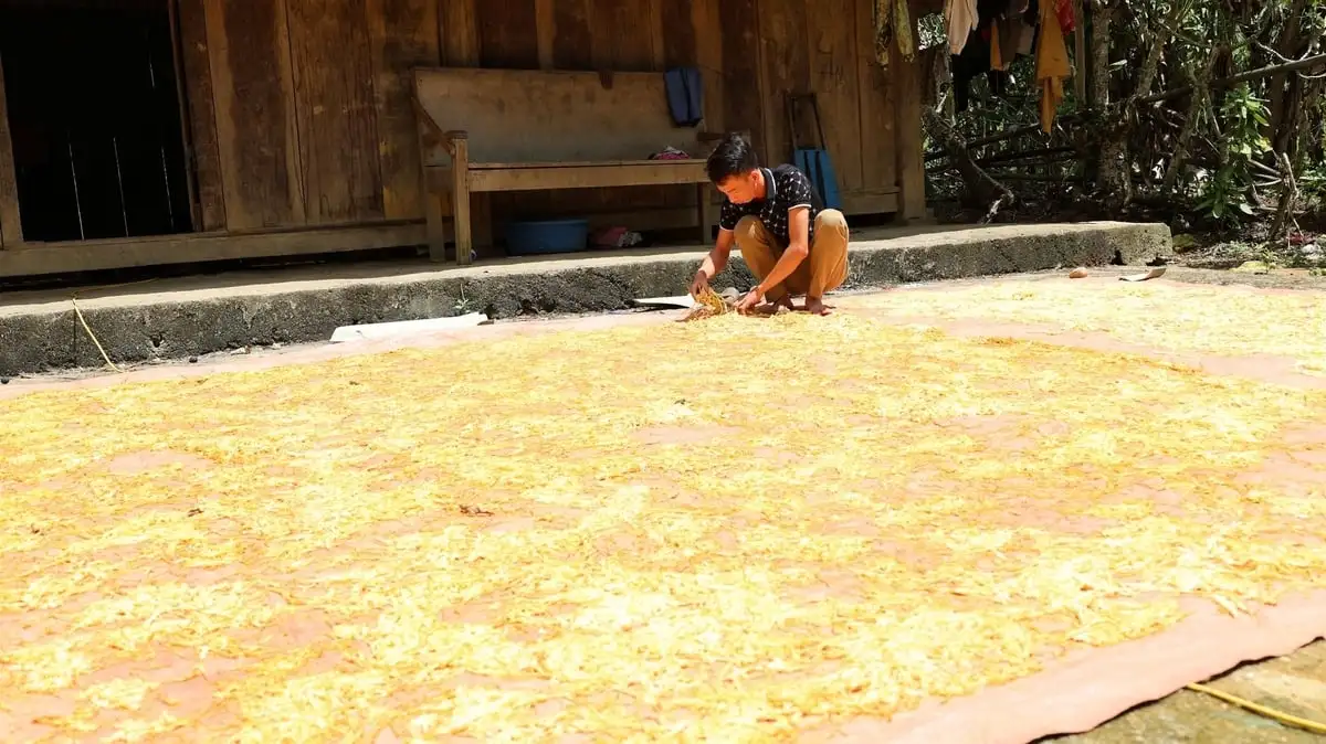 Sát cánh cùng nông dân vùng dân tộc thiểu số thoát nghèo