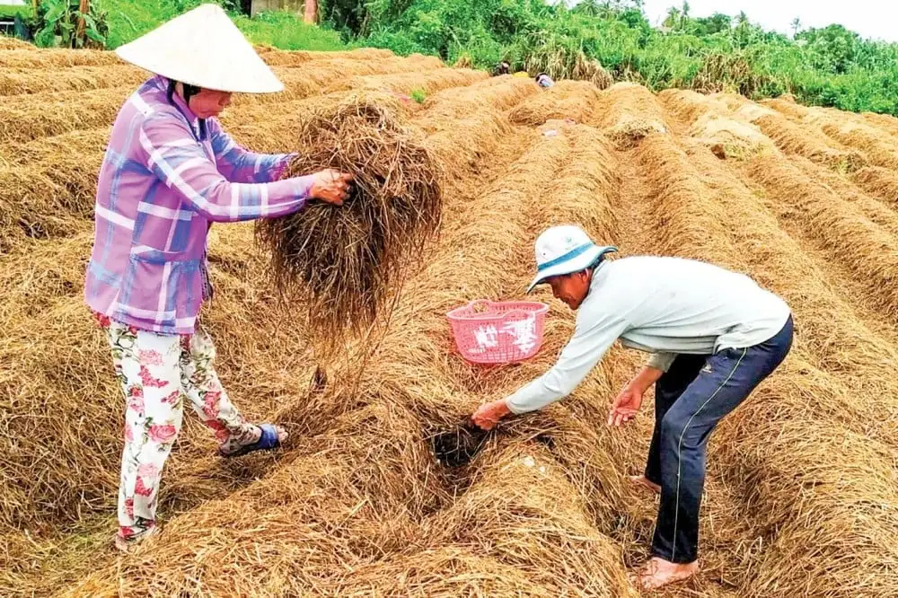 Tầm nhìn nông nghiệp sinh thái trong hành trình 80 năm