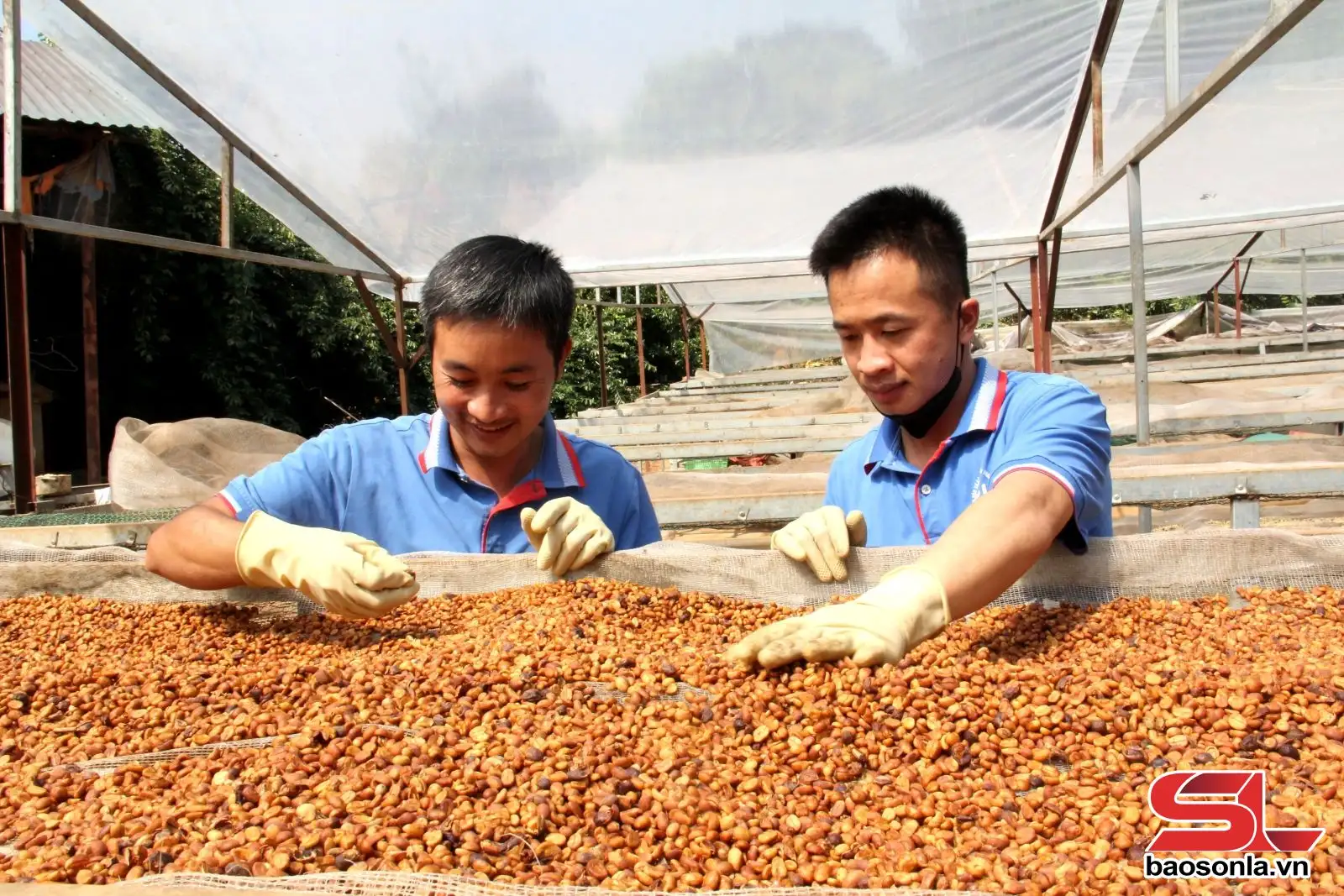 “Tấm vé thông hành” – giúp sản phẩm vươn xa