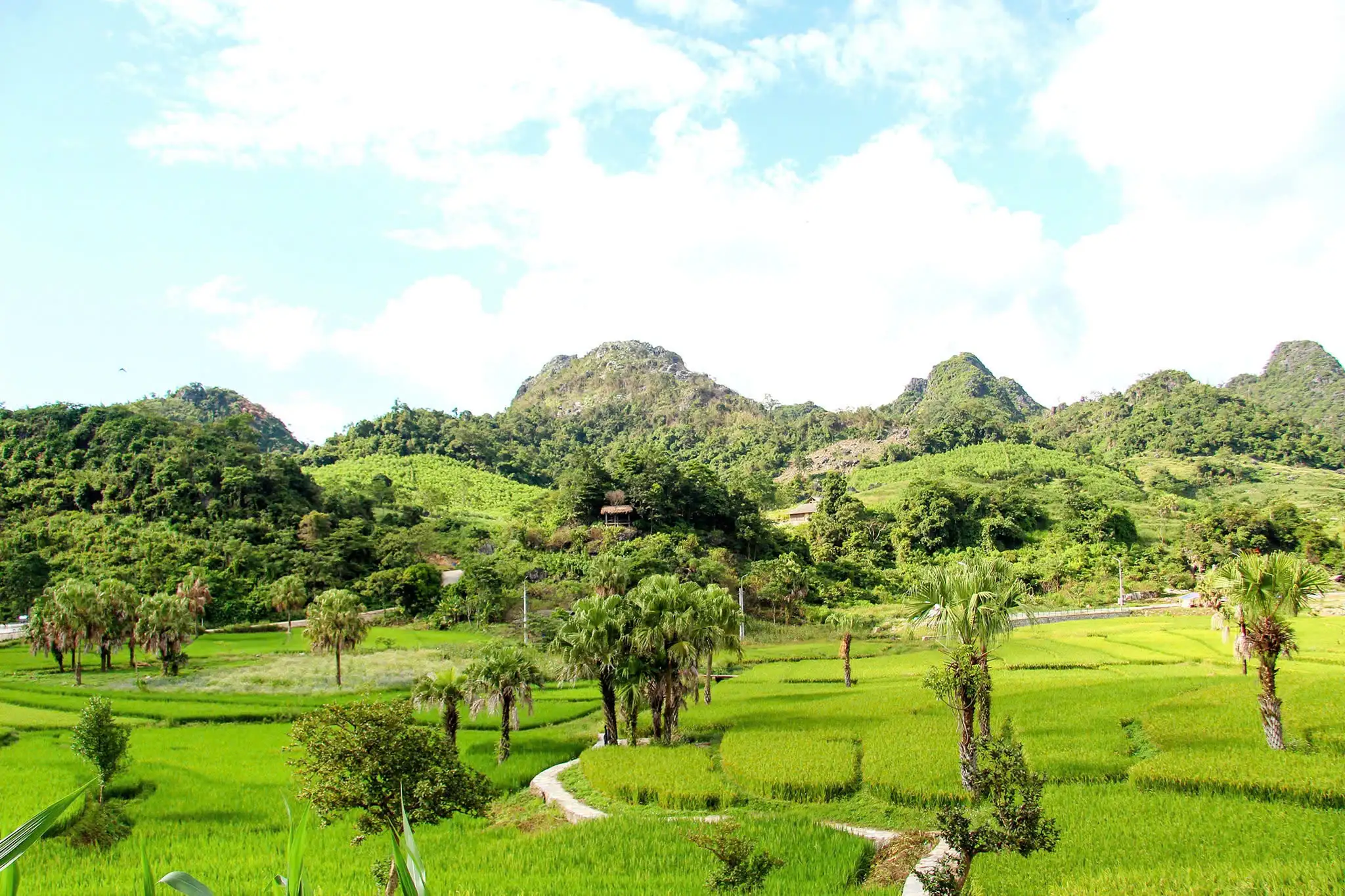 Thái Nguyên giảm nghèo bền vững từ những cách làm phù hợp thực tiễn