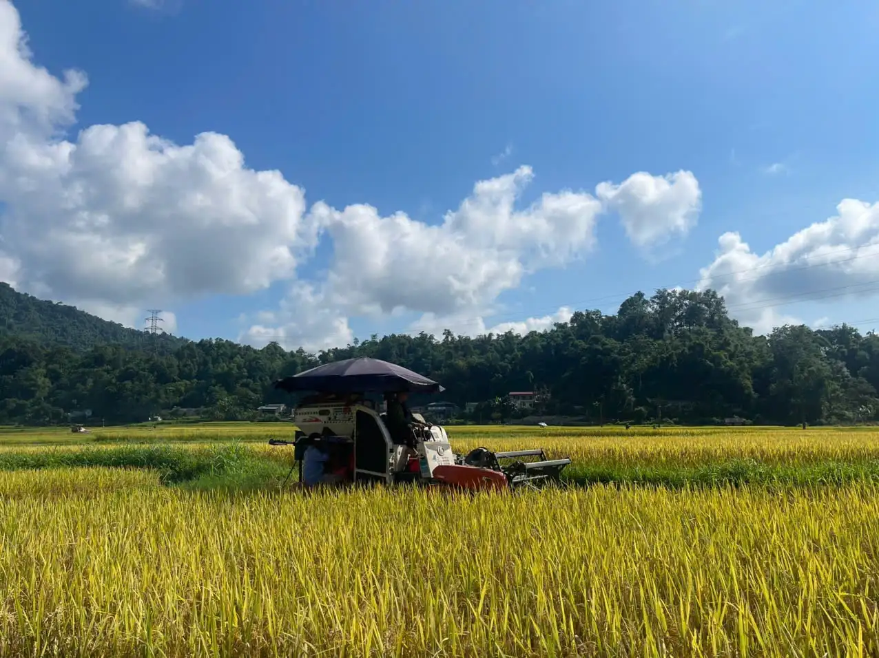 Thái Nguyên giảm nghèo bền vững từ những cách làm phù hợp thực tiễn