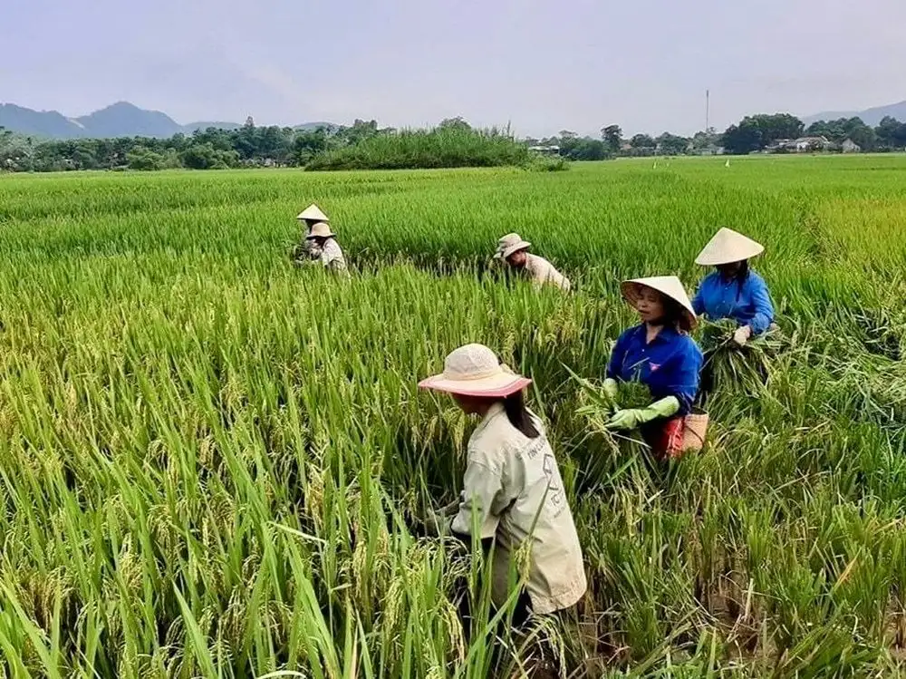 Thanh Hóa tạo sinh kế, khơi dậy ý chí thoát nghèo