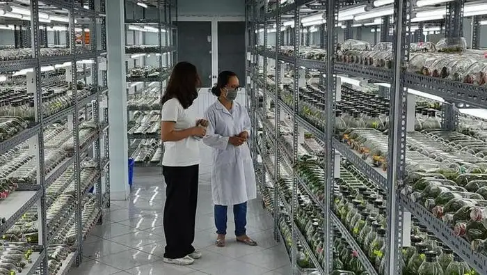 Thành phố Hồ Chí Minh: Phát triển hệ sinh thái nông nghiệp công nghệ cao