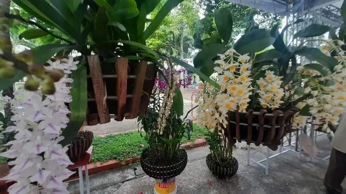 Thành phố Hồ Chí Minh: Phát triển hệ sinh thái nông nghiệp công nghệ cao