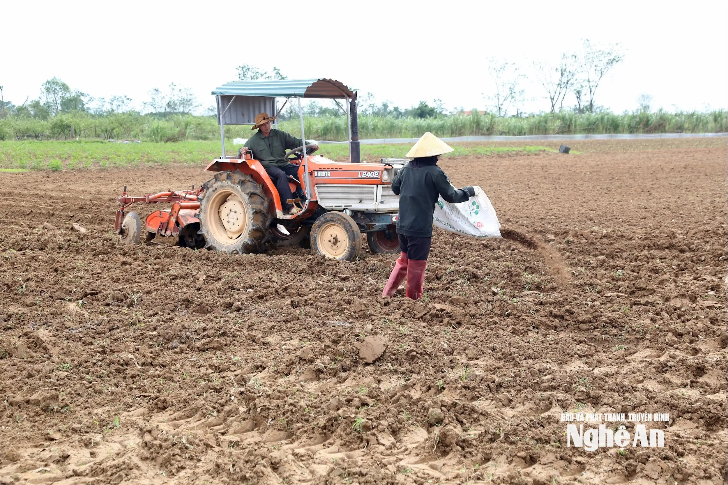 Thời tiết khô ráo, nông dân Nghệ An khẩn trương xuống giống vụ Đông