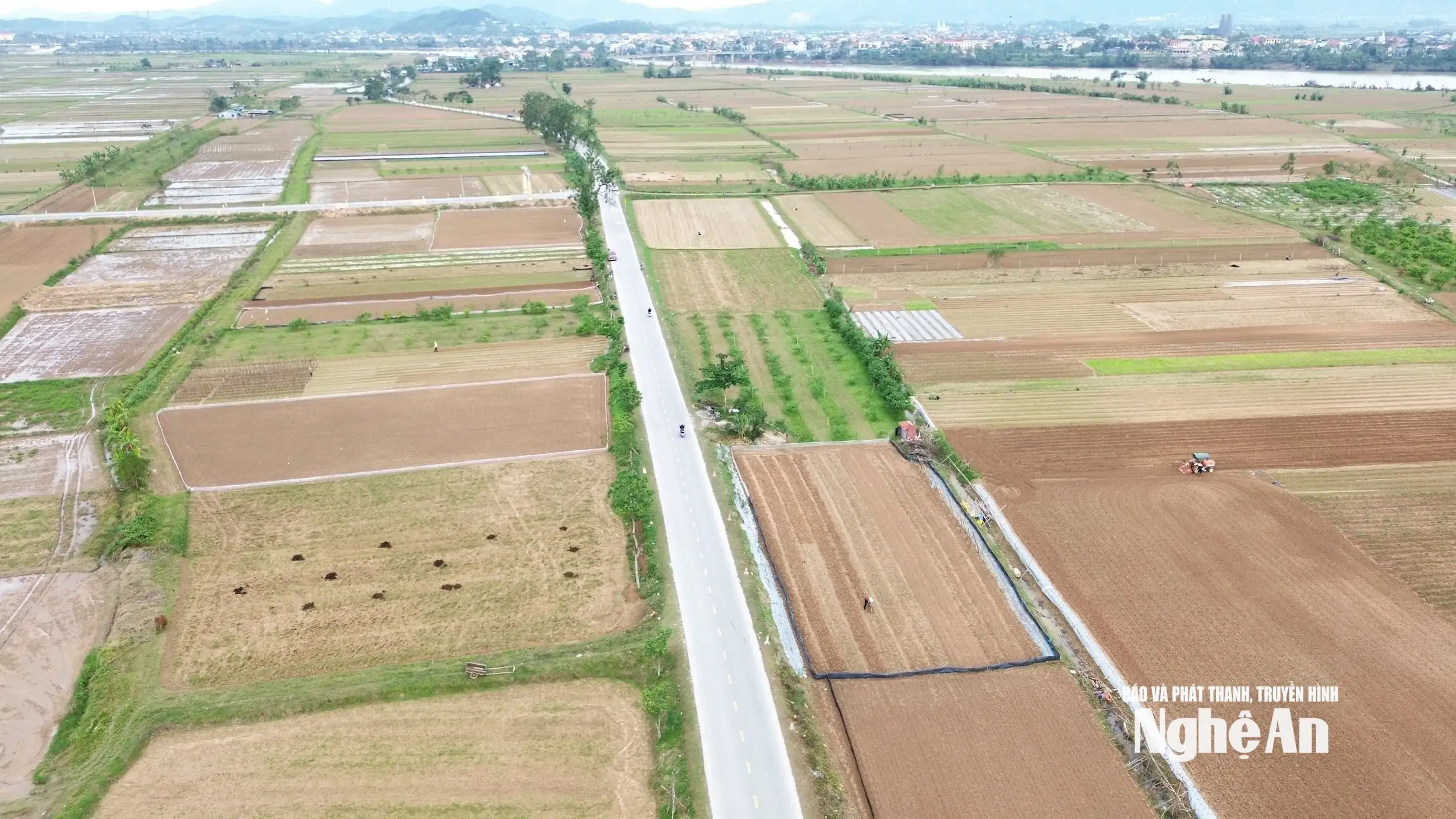 Thời tiết khô ráo, nông dân Nghệ An khẩn trương xuống giống vụ Đông