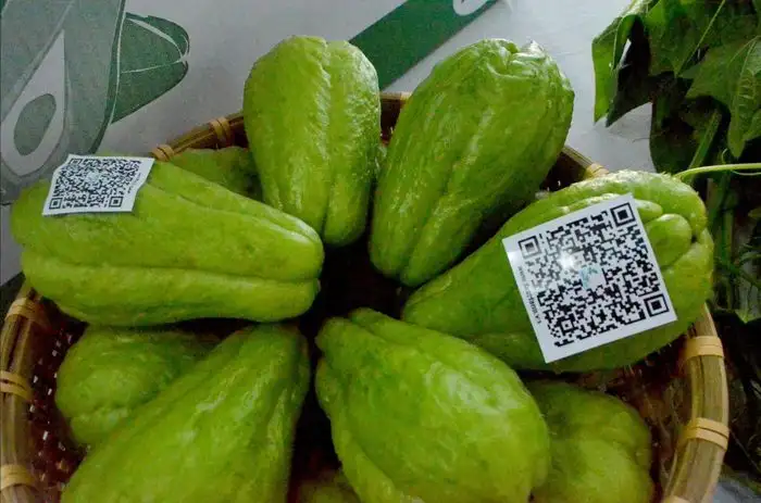 Thúc đẩy tiêu thụ nông sản gắn với chuyển đổi số