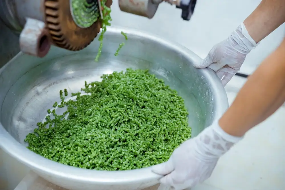 Từ nông sản thừa đến sản phẩm xanh đạt chuẩn OCOP 5 sao quốc gia