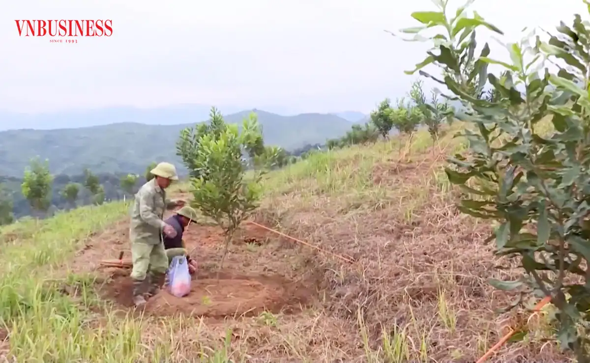 Từ nương ngô bạc màu đến bản nông thôn mới kiểu mẫu ở Điện Biên