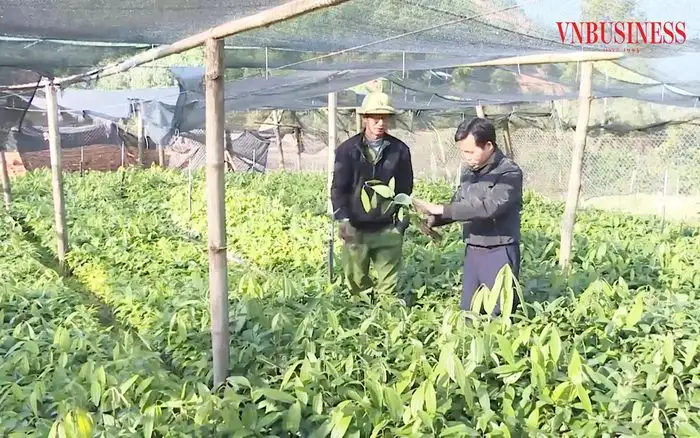 Từ OCOP đến nông thôn mới thông minh ở Quảng Ninh