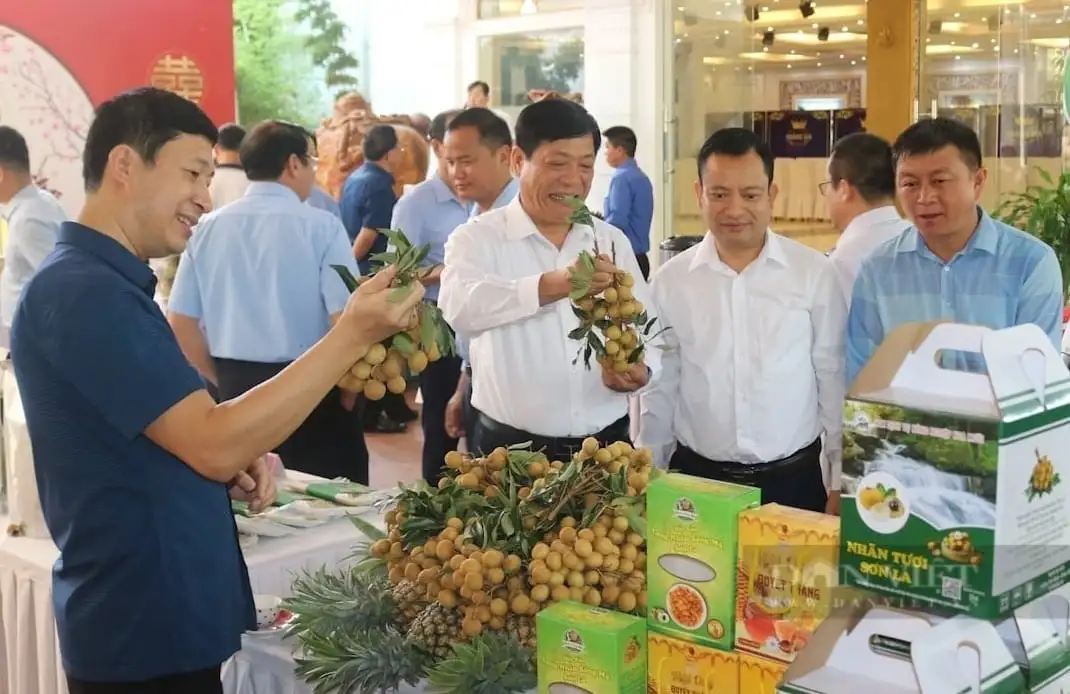 Từ sản xuất tự phát đến liên kết chuỗi giá trị hiện đại