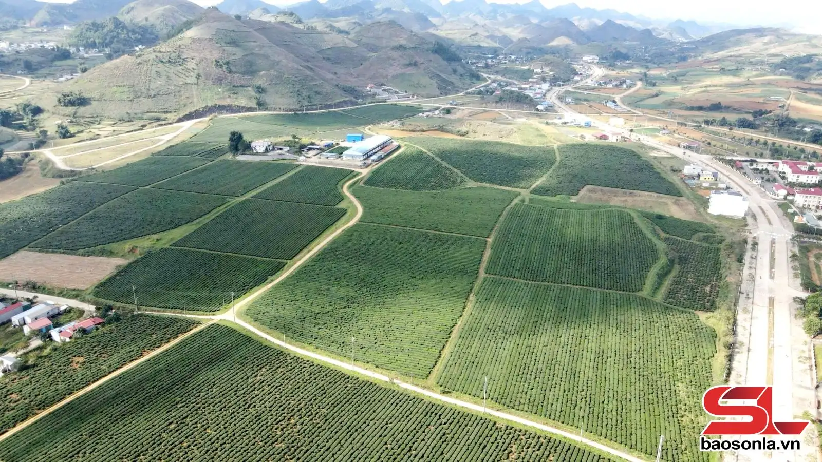 Vân Hồ tập trung xây dựng nông thôn mới sau sáp nhập