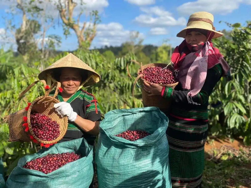 Vị thế ngành nông nghiệp Việt Nam trong bối cảnh hội nhập