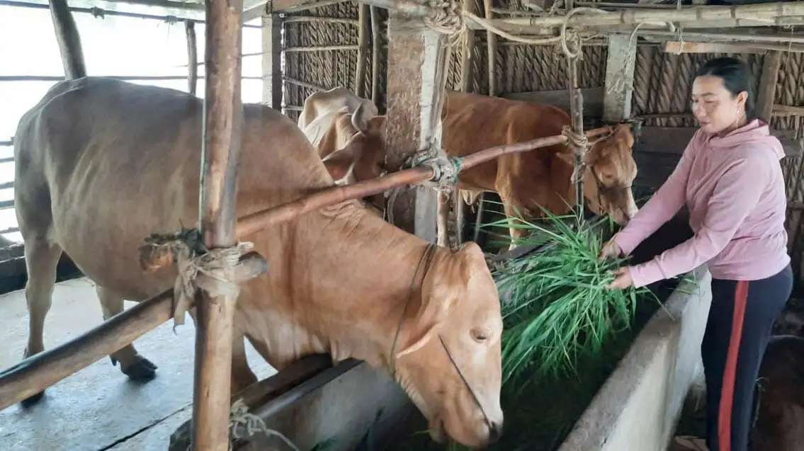 Vĩnh Long: Hướng đến mục tiêu giảm nghèo bền vững, toàn diện