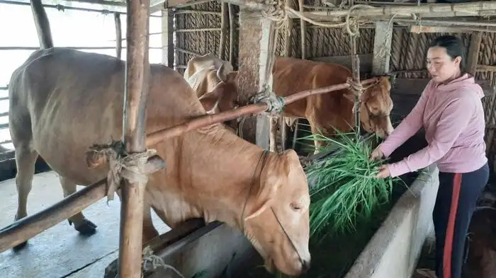 Vĩnh Long: Hướng đến mục tiêu giảm nghèo bền vững, toàn diện