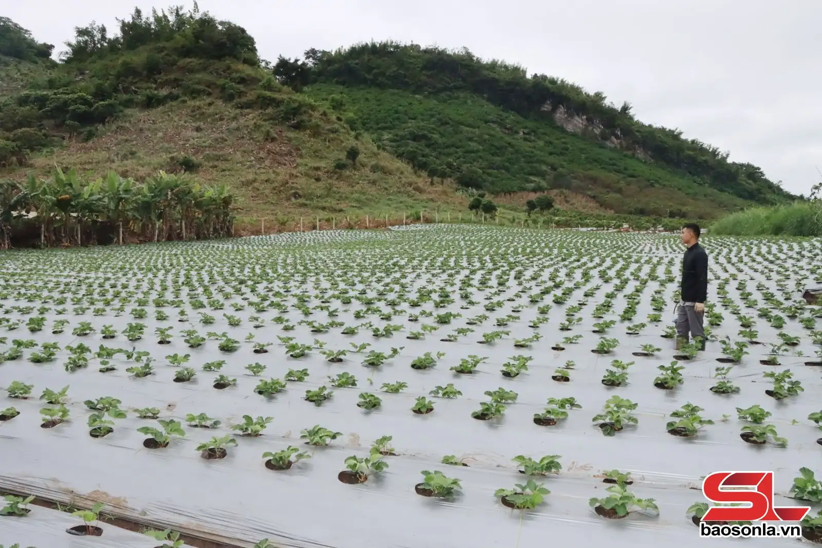 Vượt khó xây dựng nông thôn mới