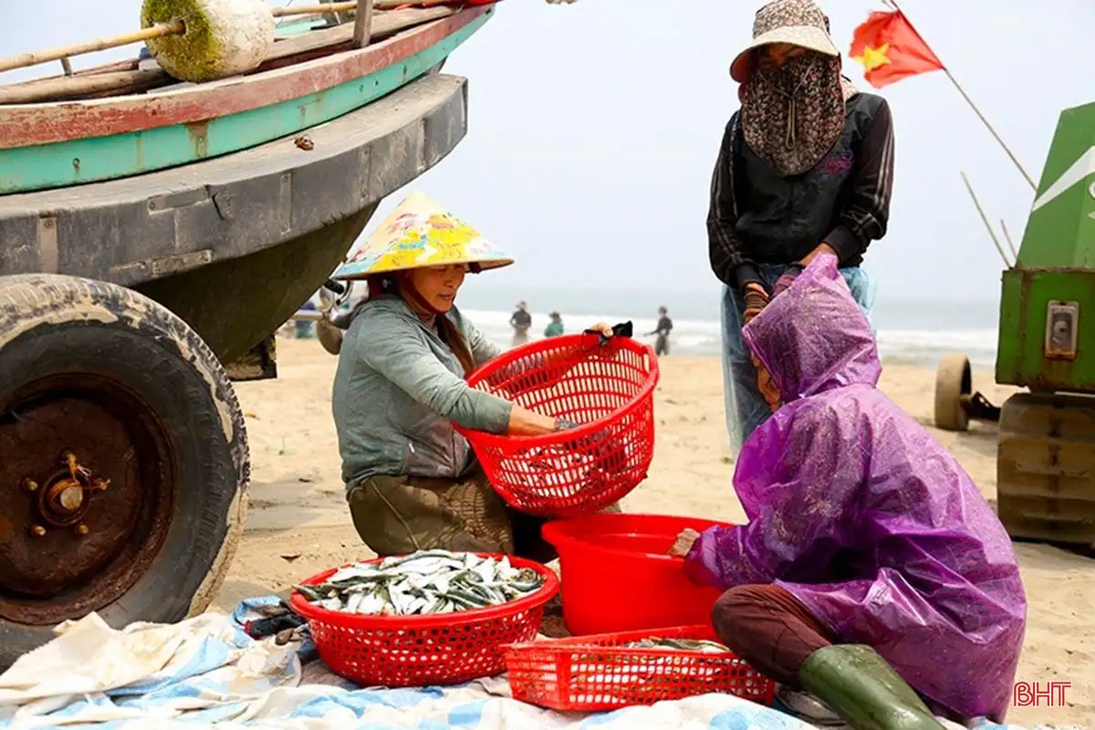 Xã Tiên Điền, tỉnh Hà Tĩnh có làng khoa bảng, tuyến đường nông thôn mới kiểu mẫu đẹp thênh thang, 2 bên là to, biệt thự