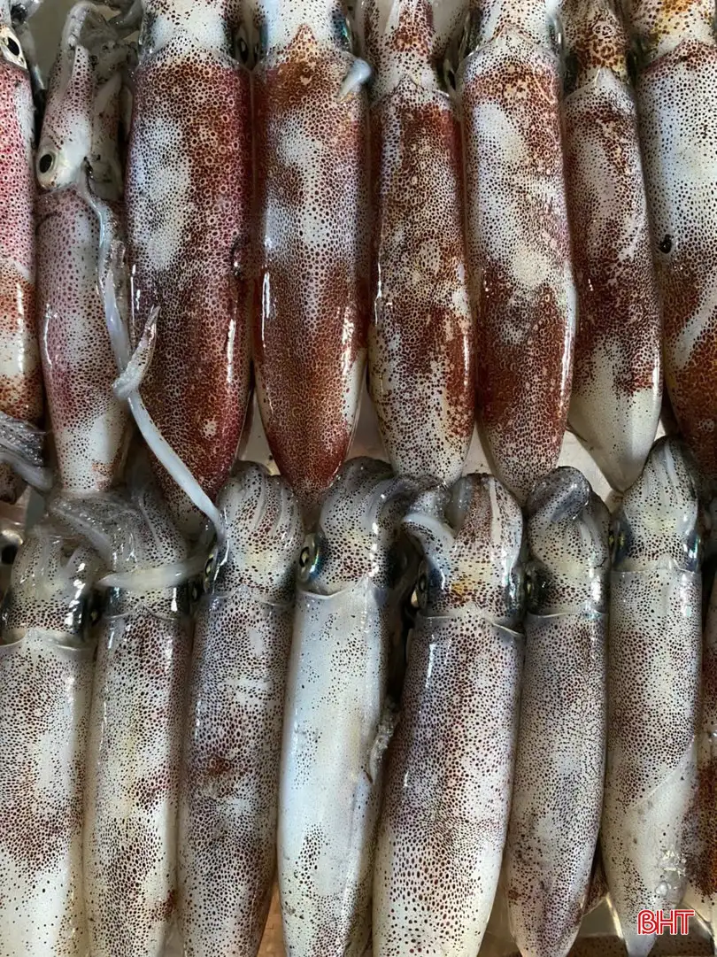 Xây dựng sản phẩm OCOP, đưa sản phẩm vùng chân ven sóng vươn xa