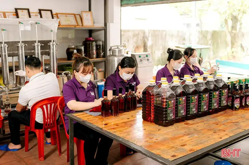 Xây dựng sản phẩm OCOP, đưa sản phẩm vùng chân ven sóng vươn xa