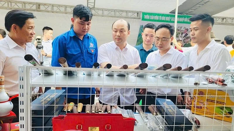 Xây dựng sản phẩm OCOP – giải pháp “giữ lửa” làng nghề