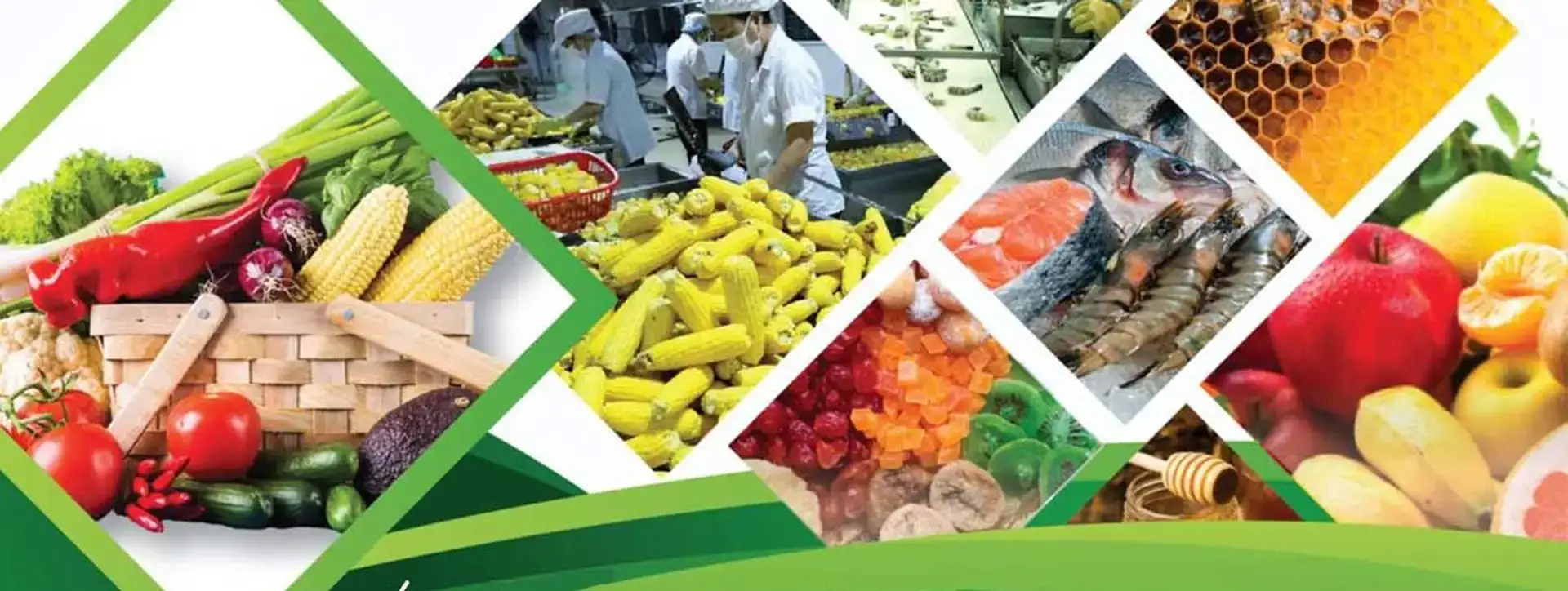 FESTIVAL OCOP VIỆT NAM 2025: Khi những sản vật làng quê thắp sáng Hoàng thành Thăng Long