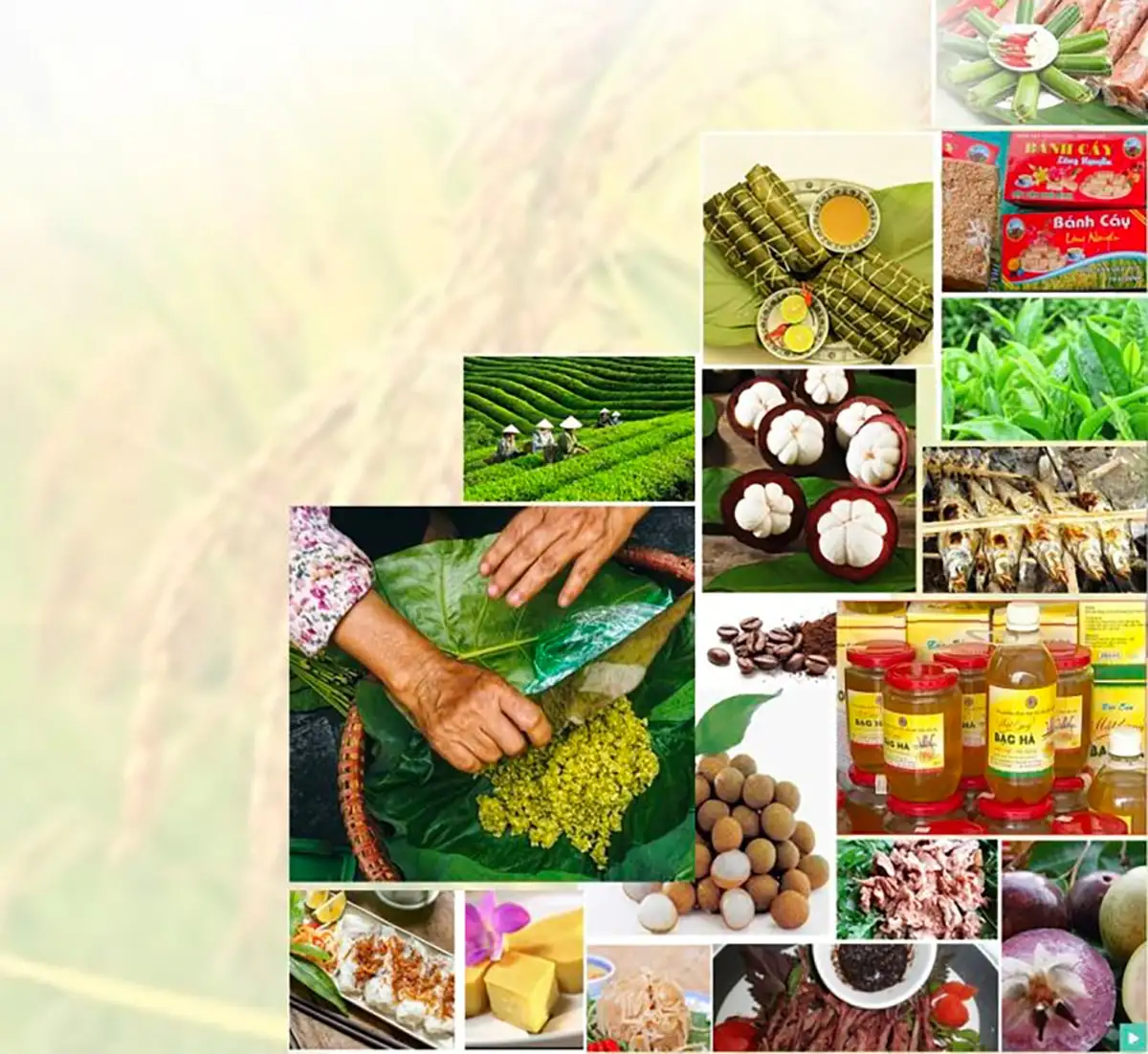 FESTIVAL OCOP VIỆT NAM 2025: Khi những sản vật làng quê thắp sáng Hoàng thành Thăng Long