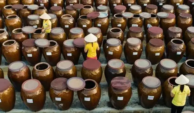 HTX Chiến Thắng – Điểm sáng kinh tế biển Hà Tĩnh