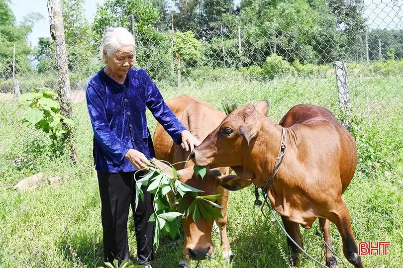 Hương Bình hỗ trợ sinh kế, hướng tới giảm nghèo bền vững