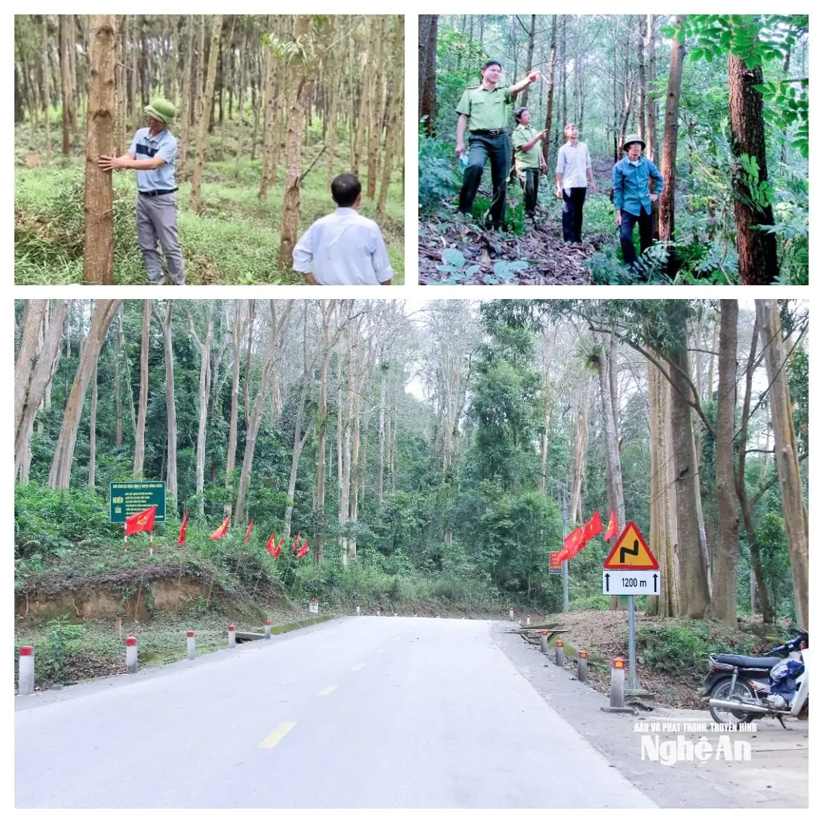 Lâm nghiệp Nghệ An: Vững bước vào kỷ nguyên phát triển xanh và bền vững