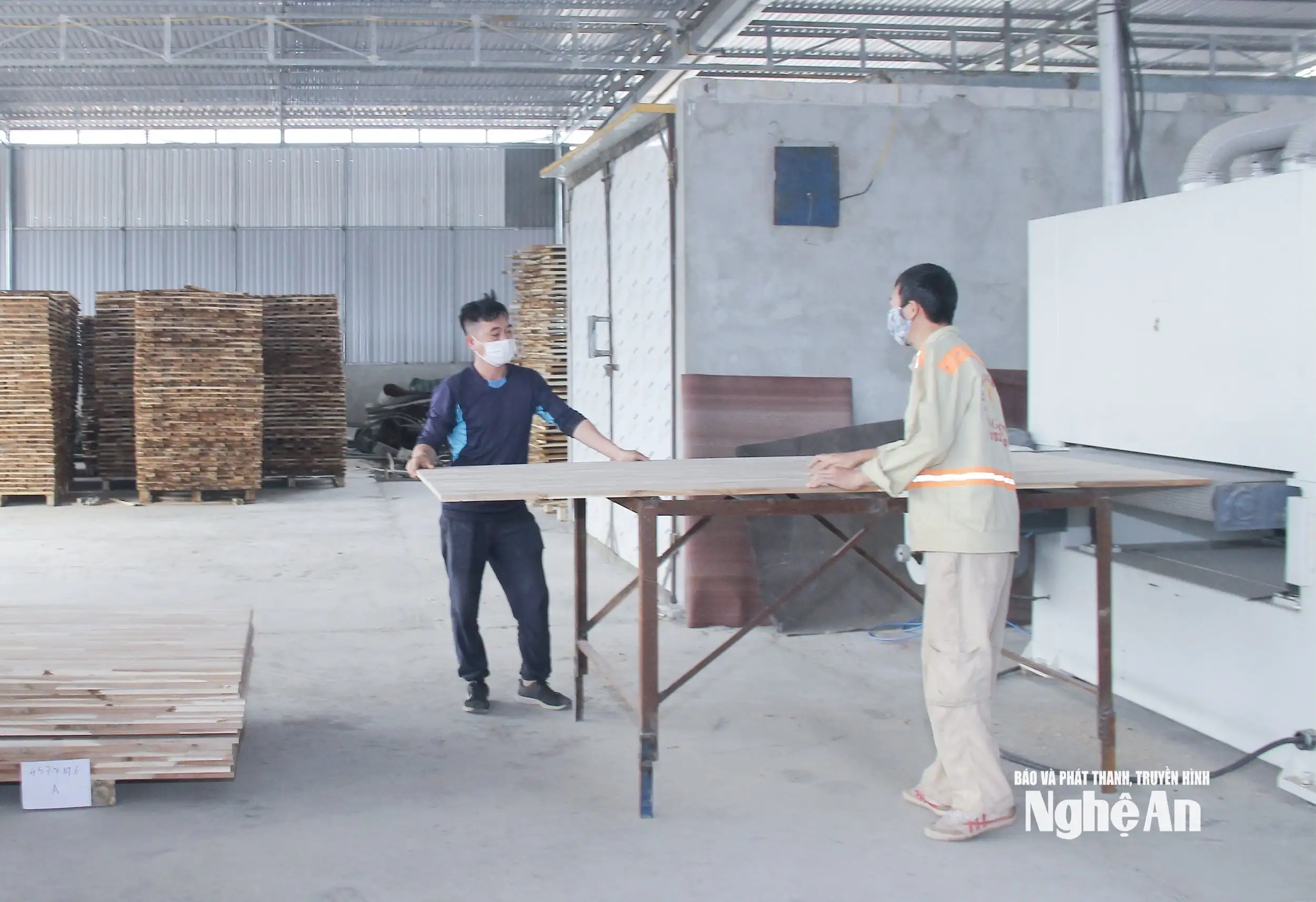 Lâm nghiệp Nghệ An: Vững bước vào kỷ nguyên phát triển xanh và bền vững