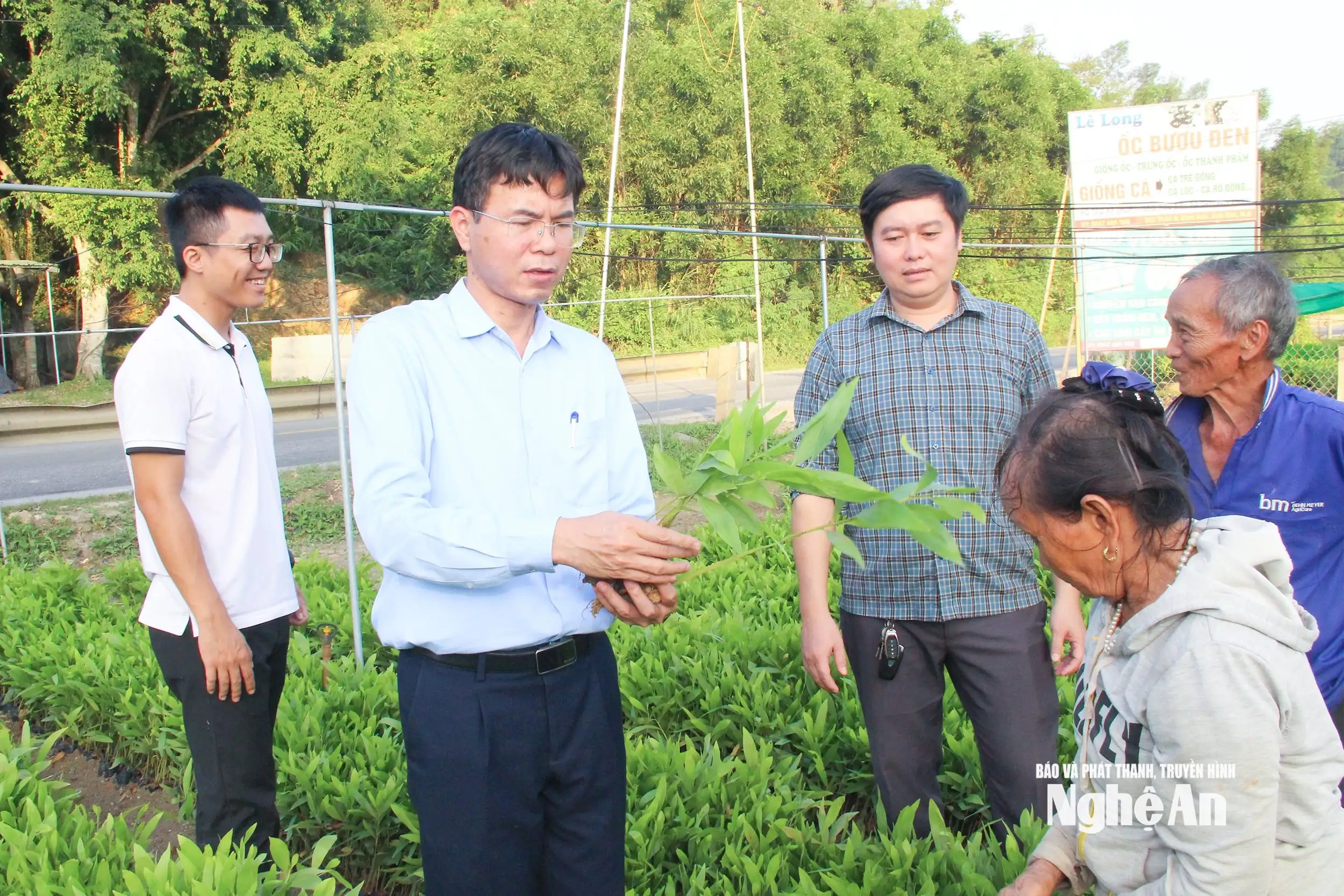 Lâm nghiệp Nghệ An: Vững bước vào kỷ nguyên phát triển xanh và bền vững