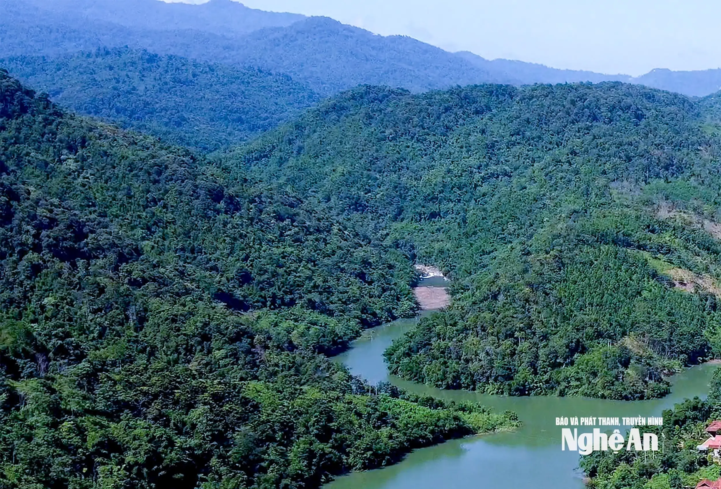 Lâm nghiệp Nghệ An: Vững bước vào kỷ nguyên phát triển xanh và bền vững