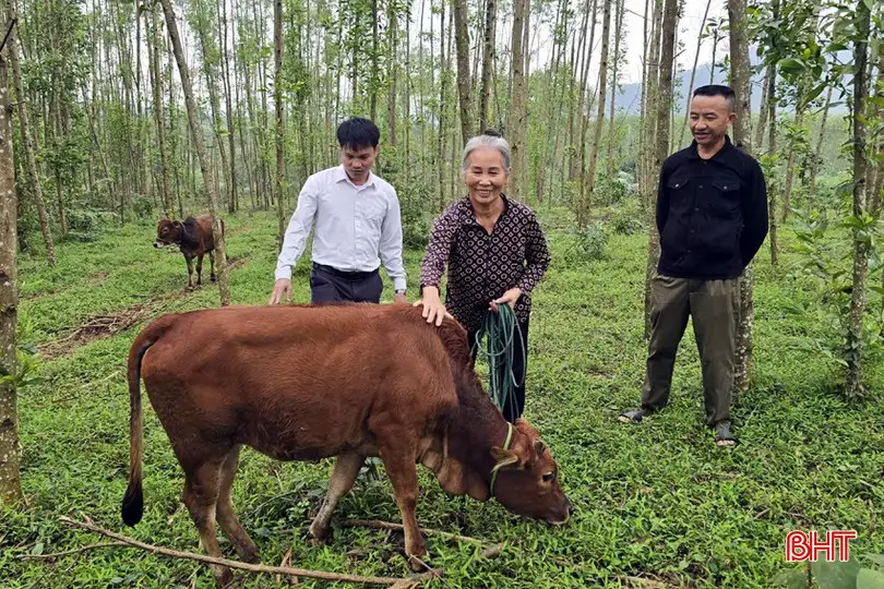 Mô hình sinh kế – “đòn bẩy” giúp Kỳ Thượng giảm nghèo bền vững
