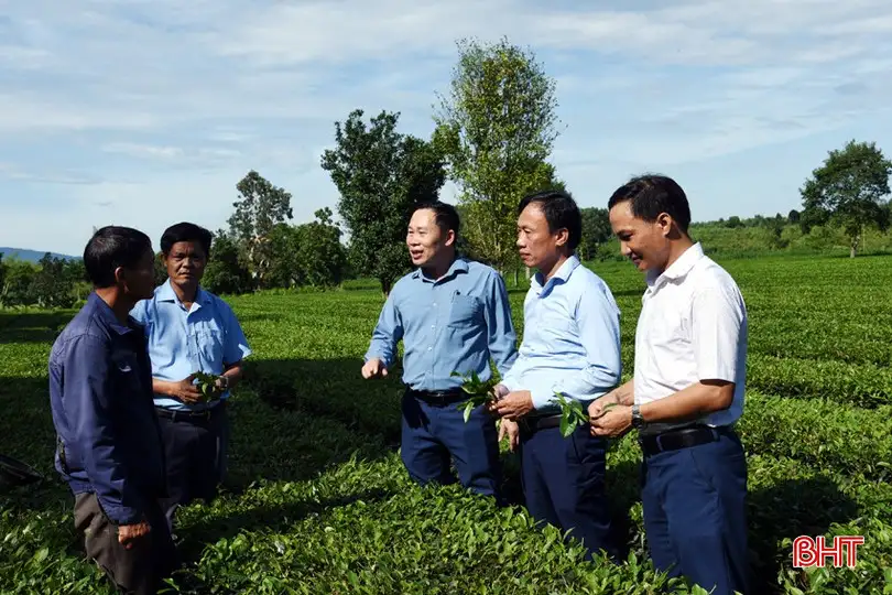 Mô hình sinh kế – “đòn bẩy” giúp Kỳ Thượng giảm nghèo bền vững