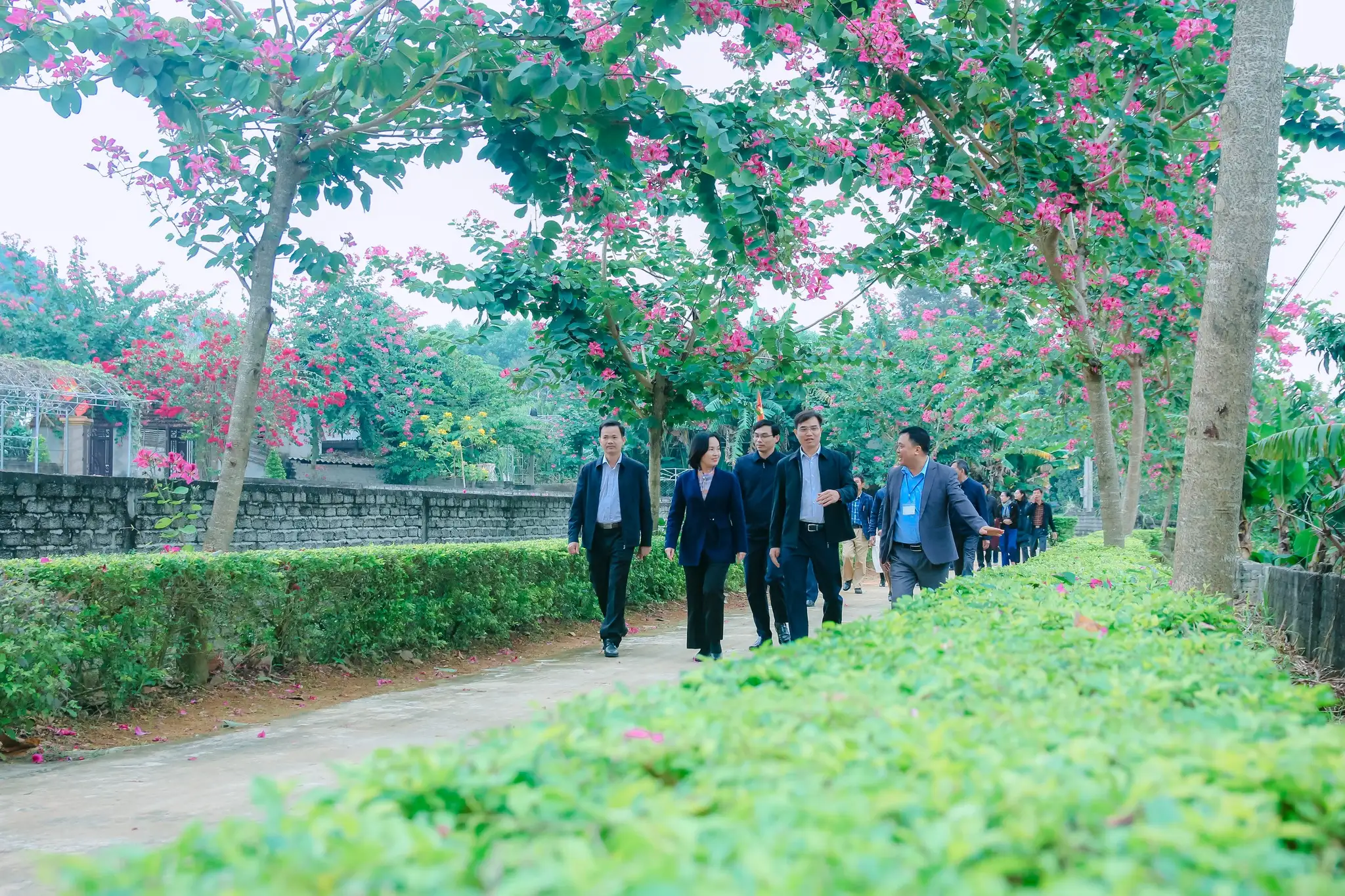 Bảo vệ môi trường trong xây dựng thôn, bản, xóm văn hóa kiểu mẫu gắn với xây dựng nông thôn mới ở Nghệ An