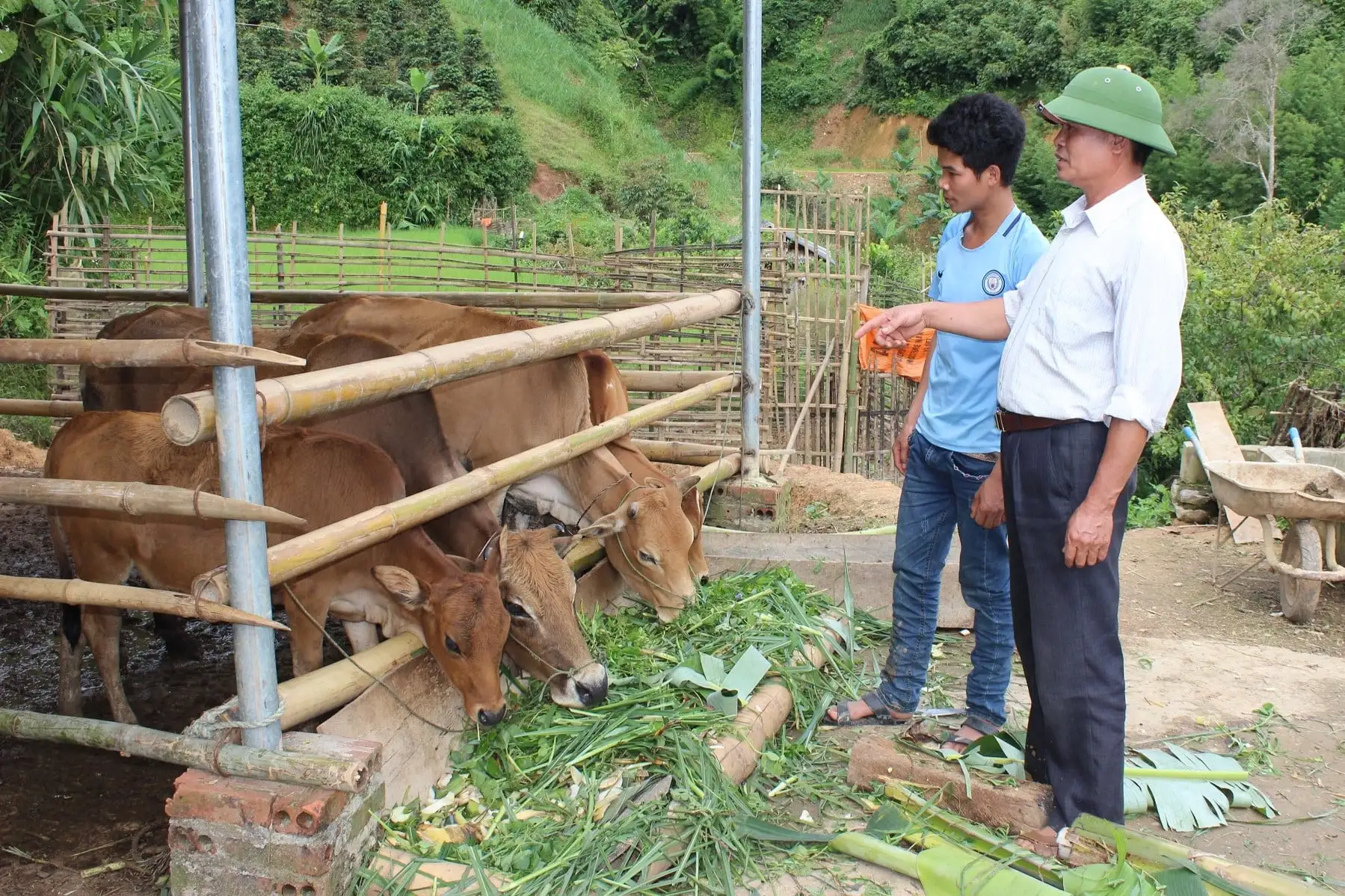 Thu trăm triệu mỗi năm nhờ thay đổi tập quán chăn nuôi