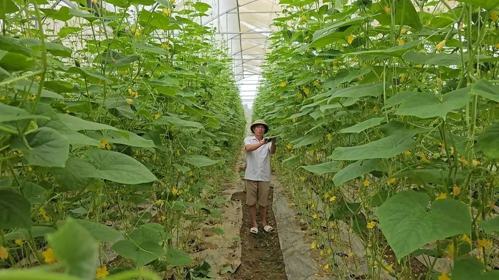 Tiểu thủ công nghiệp mở rộng sinh kế, tạo động lực mới nông thôn Thanh Hóa