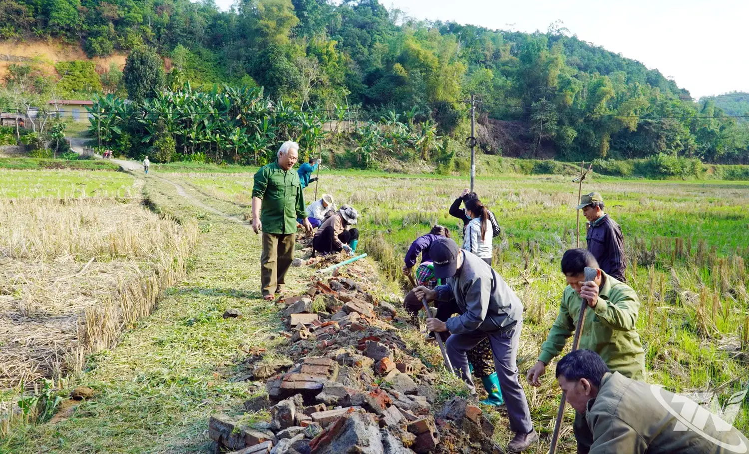 Xây dựng nông thôn mới và phát triển sản phẩm OCOP ở Cẩm Giàng
