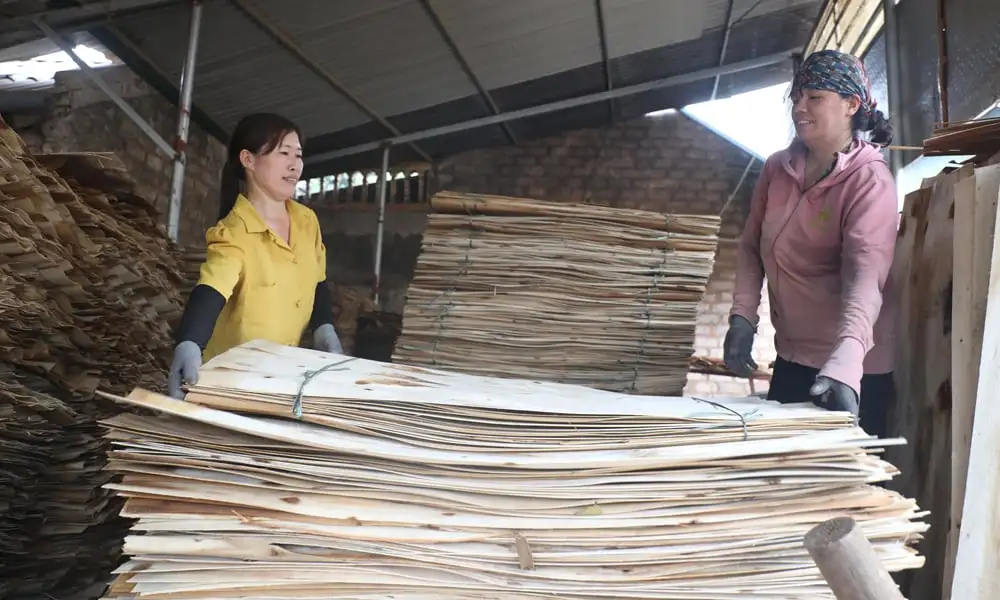 Bắc Ninh: Xây dựng nông thôn mới hiện đại, bền vững