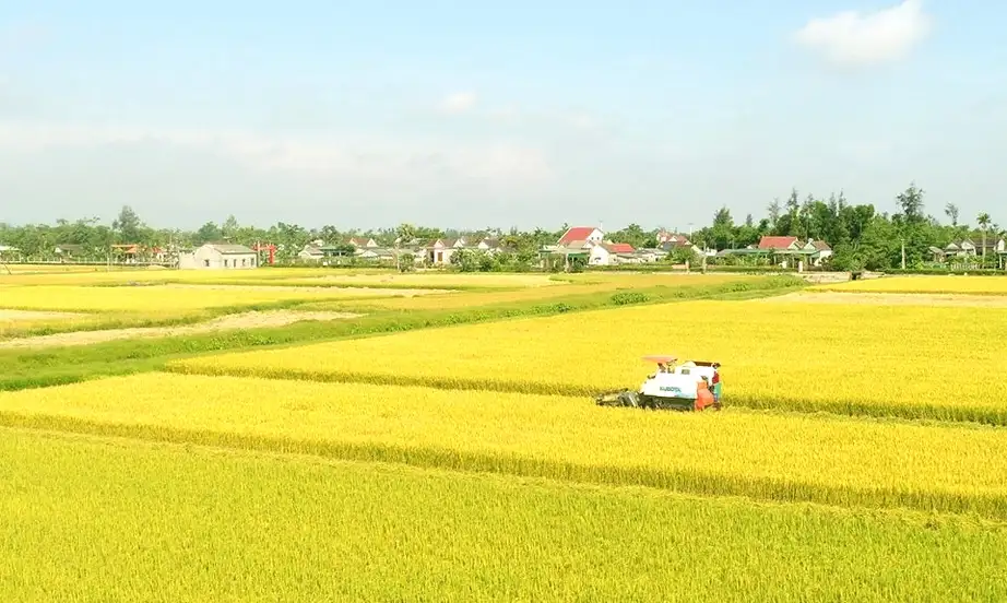 Bộ tiêu chí mới mở đường xây dựng nông thôn mới ở Hà Tĩnh