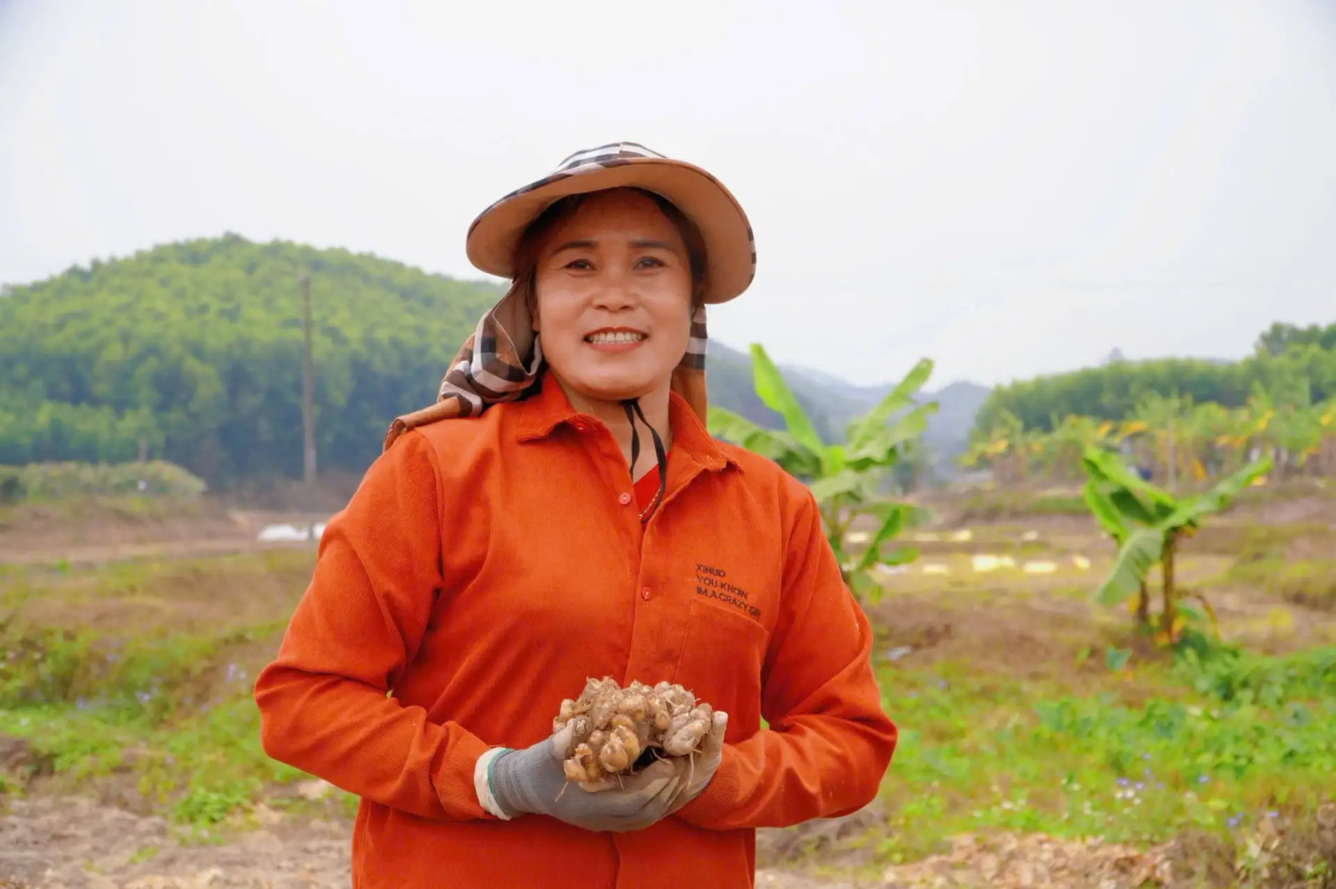 Bỏ trồng lúa, trồng lạc, dân một xã mới ở Thái Nguyên trồng cây này, bất ngờ tiền lãi cầm về nhiều thêm