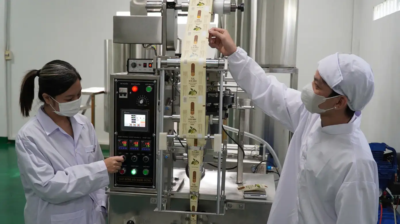 Bỏ việc lương cao về quê khởi nghiệp với trái nhàu